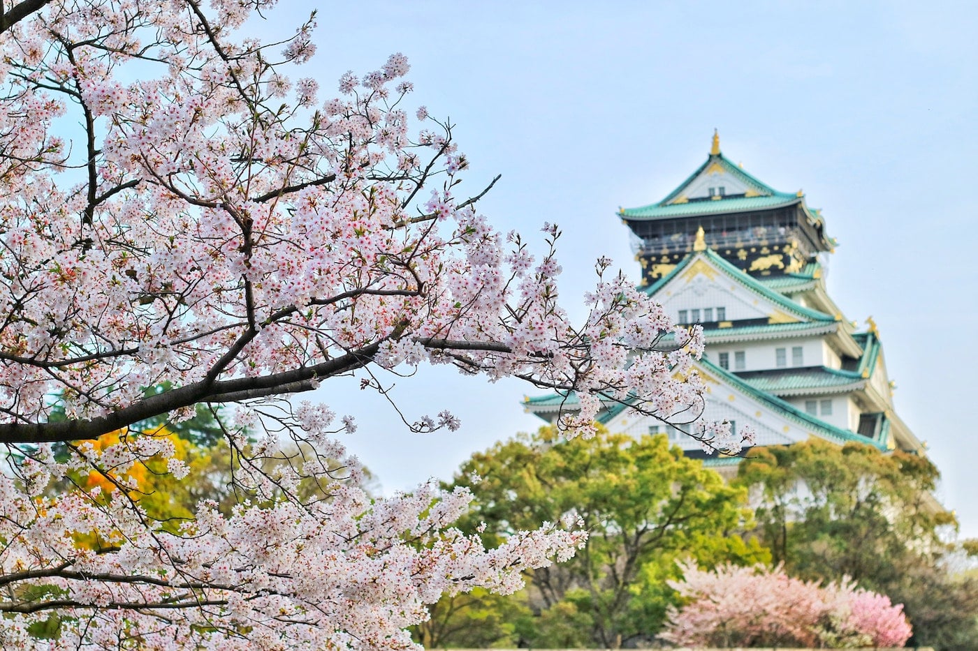 Japan Kirschblüten Zeit Blütenmeer und Tempel Japan Kirschblüten Zeit Blütenmeer und Tempel