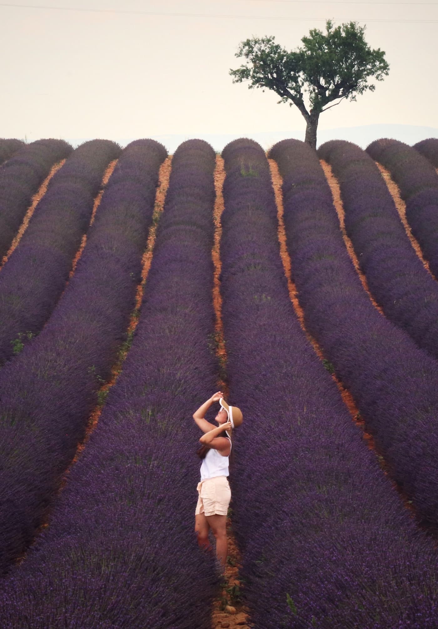 Provence Lavendelfeld Duft passende Duftkerze für zuhause Provence Lavendelfeld Duft passende Duftkerze für zuhause