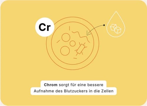 Wirkung Erklärung ZUCKERSTOFFWECHSEL SHEKO Erfahrung Wirkung Erklärung ZUCKERSTOFFWECHSEL SHEKO Erfahrung