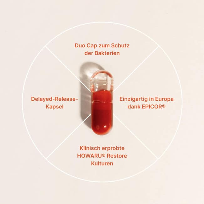 Gut Restore Kapseln Braineffect Darmsanierung HOWARU EPICOR