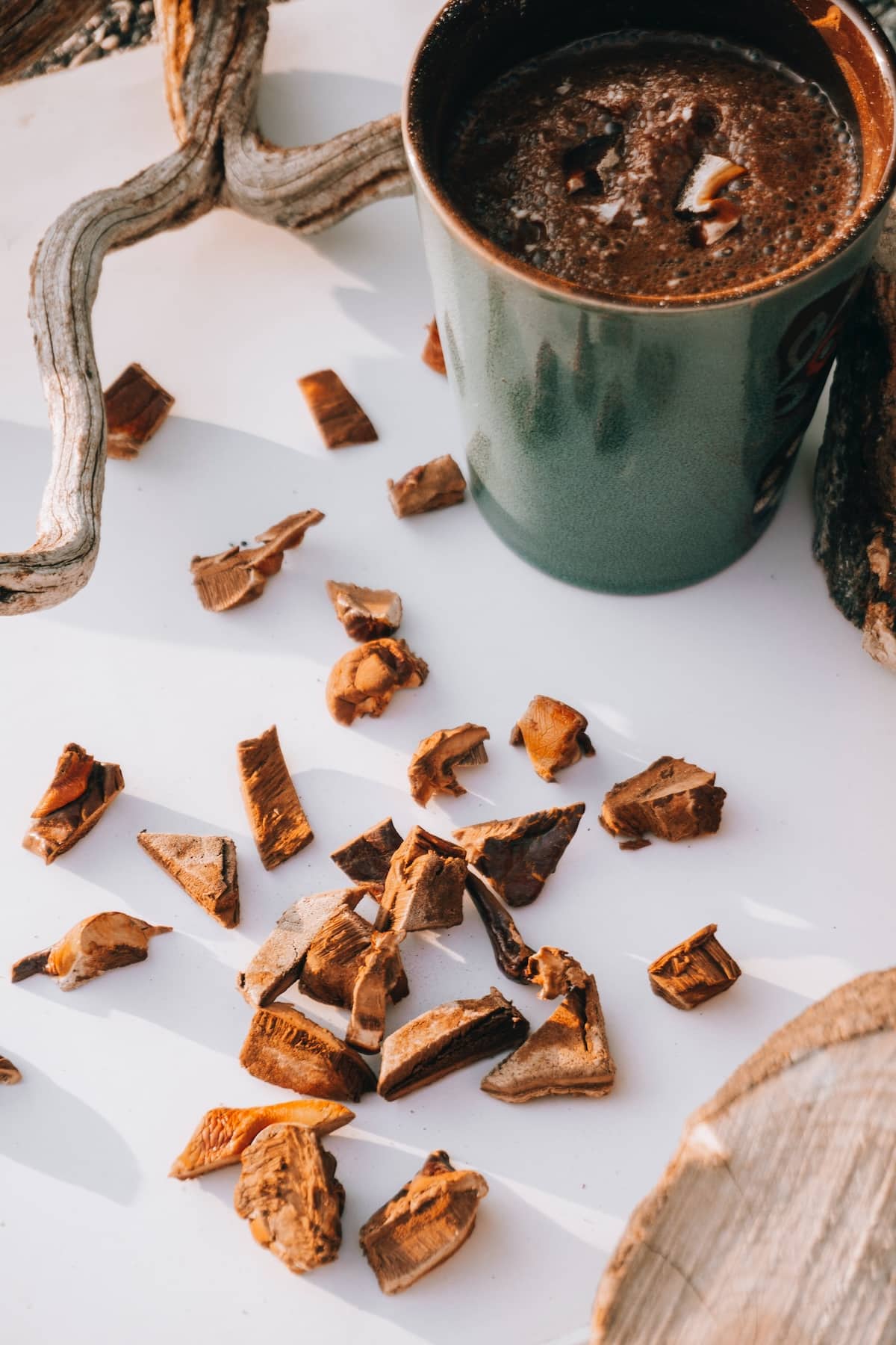 Reishi Forte Pilz Braineffect Erfahrungen Premium Reishi Forte Pilz Braineffect Erfahrungen Premium