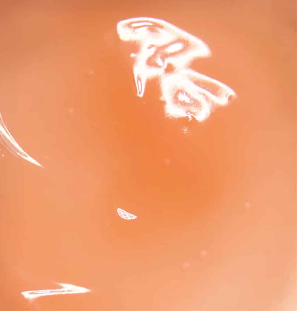 Nahaufnahme der honigartigen Textur des Rosental Organics Lip Plumpers in hellorangem Ton.